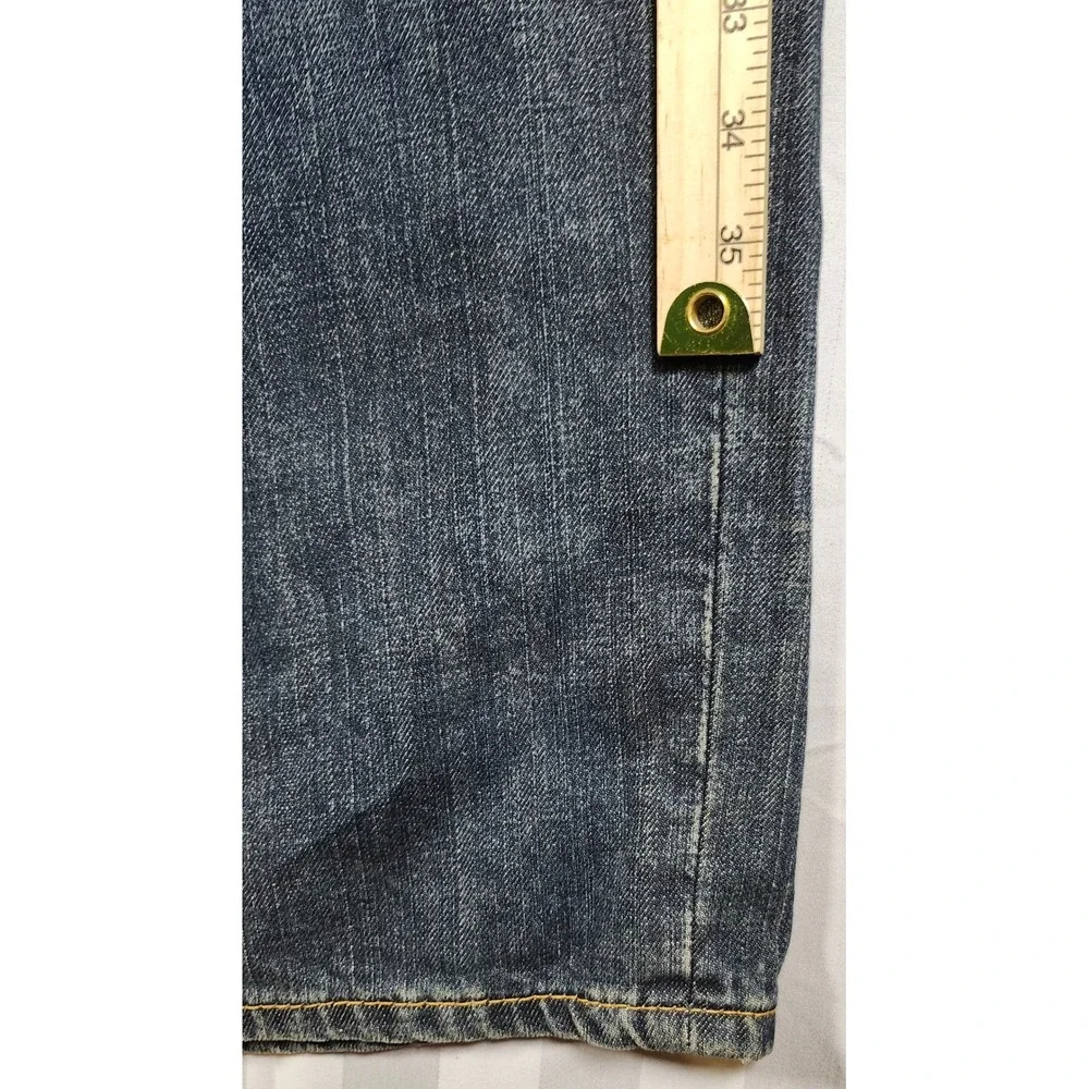 Levis levis 559